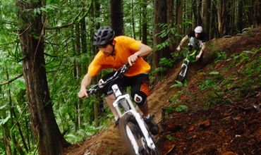 Sunshine Coast - Welcome the Trail Wizard